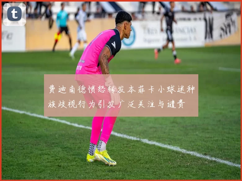 费迪南德愤怒转发本菲卡小球迷种族歧视行为引发广泛关注与谴责